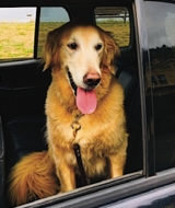 Kregg P.J. Jorgenson