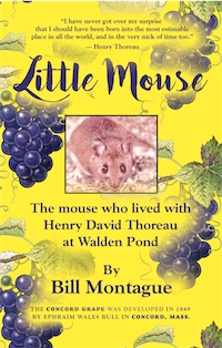 Little Mouse: The Mouse Who Lived With Henry David Thoreau at Walden Pond by Bill Montague