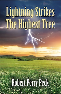 LIGHTNING STRIKES THE HIGHEST TREE by Robert Perry Peck