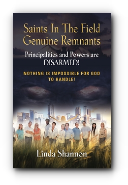 Saints In The Field Genuine Remnants by Linda Shannon