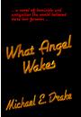 What Angel Wakes by Michael E. Drake