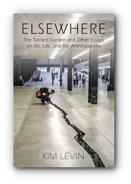 ELSEWHERE: THE TAINTED GARDEN AND OTHER ESSAYS ON ART, LIFE, AND THE ANTHROPOCENE by Kim Levin