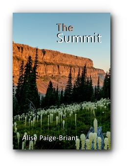 The Summit by Alise Paige-Briant