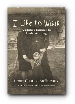 I Like to Walk: A Child's Journey to Understanding by Henri Charles Molineaux