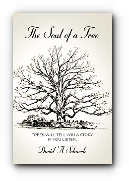 The Soul of a Tree by David A Schneck