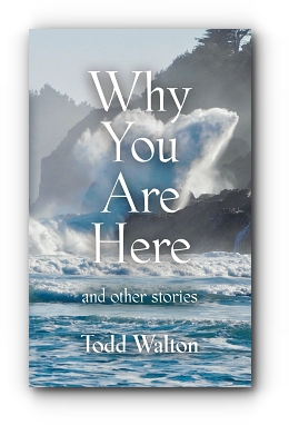Why You Are Here: and other stories by Todd Walton