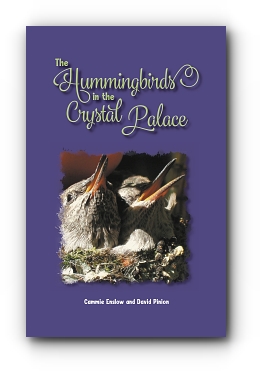 The Hummingbirds in the Crystal Palace by Cammie Enslow & David Pinion