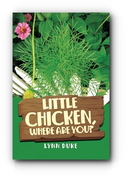 Little Chicken, Where Are You? by Lynn Duke
