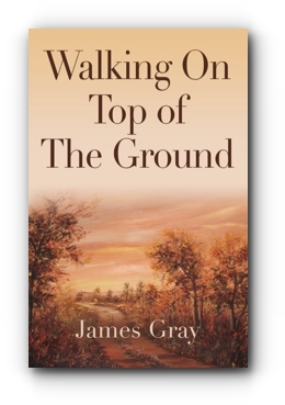 Walking on Top of the Ground by James Gray