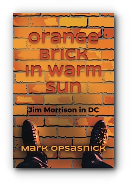 Orange Brick in Warm Sun by Mark Opsasnick