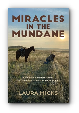 Miracles in the Mundane by Laura Hicks