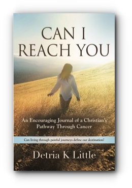 Can I Reach You: An Encouraging Journal of a Christian's Pathway Through Cancer by Detria K Little