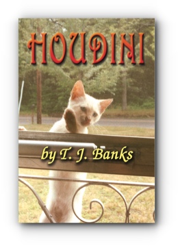 Houdini by T. J. Banks