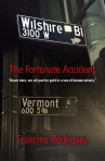 The Fortunate Accident by Francine Rodriguez